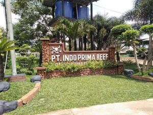 COE for Software Development – Center of Excellence - dezaci