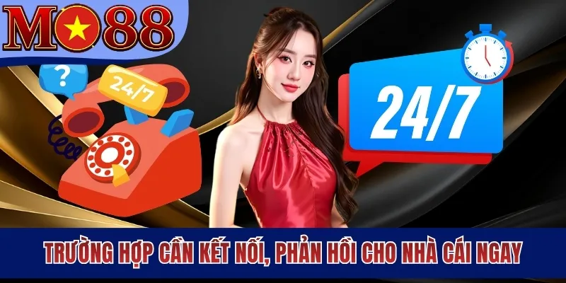 Liên Hệ MO88 - Nhận Hỗ Trợ Nhanh Từ Đội Ngũ Chuyên Nghiệp - dezaci